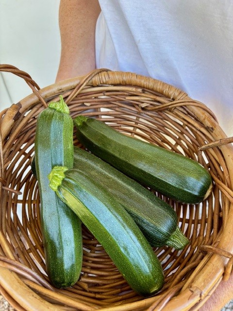 Zucchini
